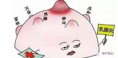 哺乳期乳腺炎，慎用抗生素！