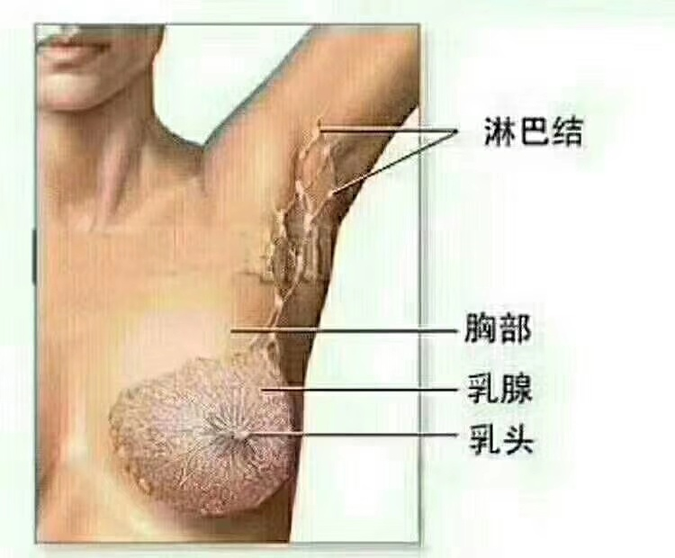 哺乳期乳腺炎癥狀和預(yù)防及治療方法